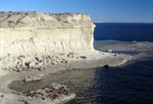 Discover Peninsula Valdes